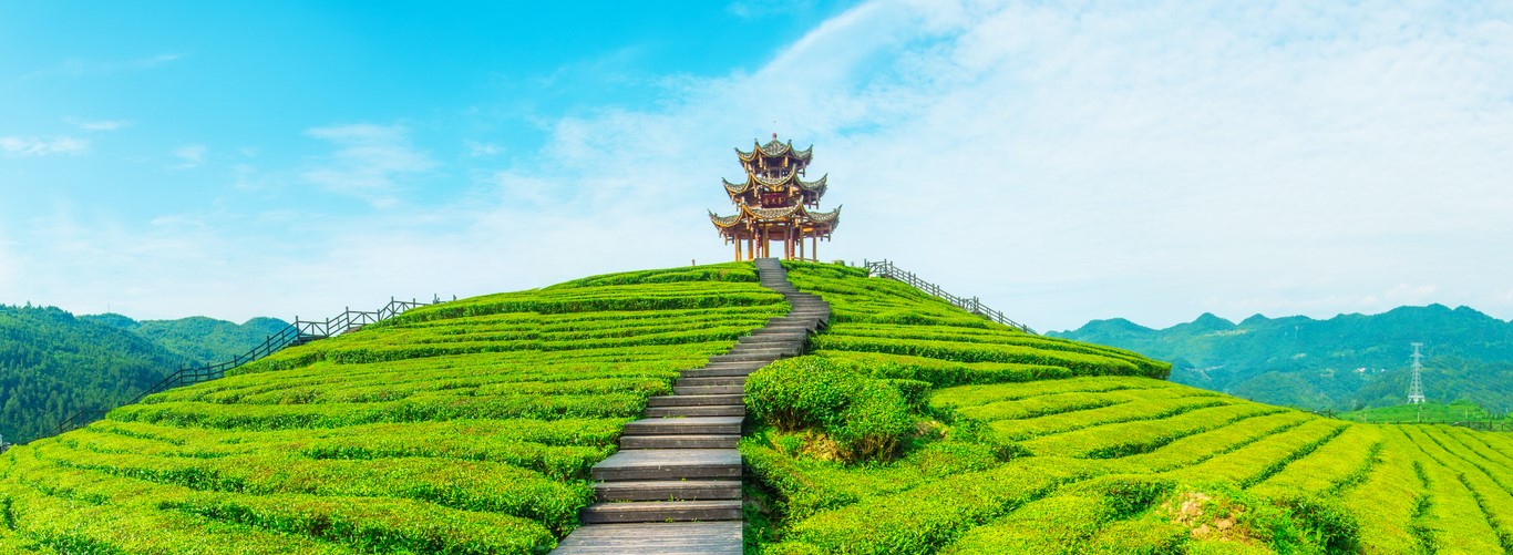 Viaggiare in Giappone: cosa vedere e quando andare