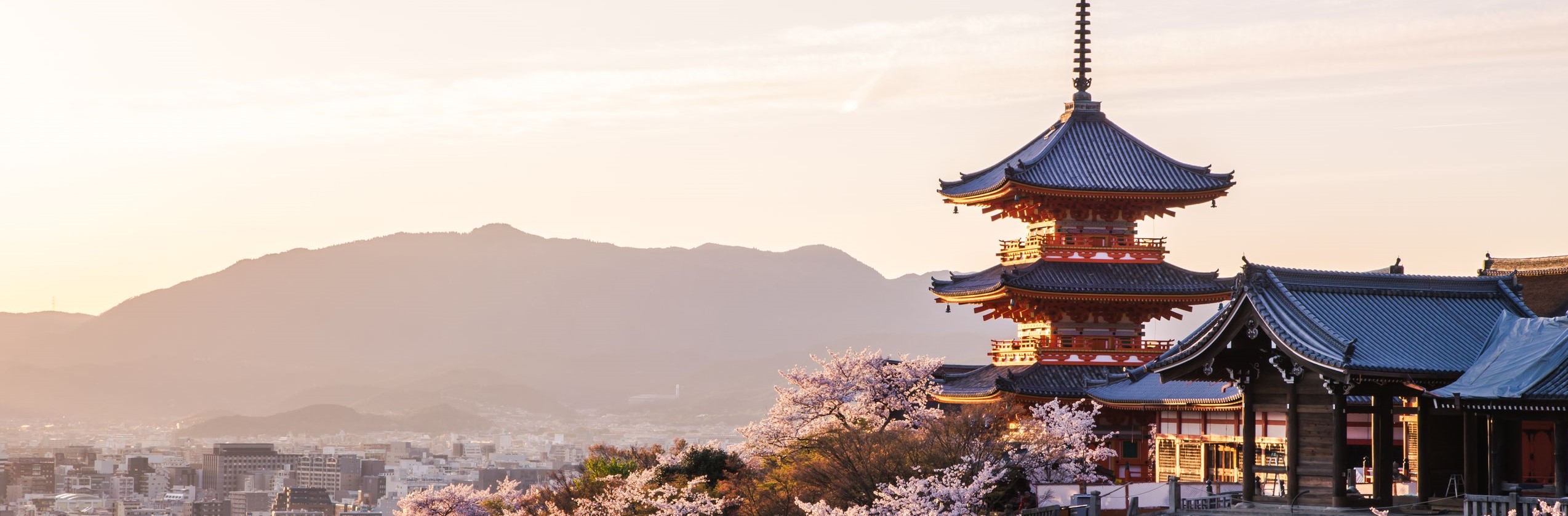 Assicurazione Sanitaria  Giappone