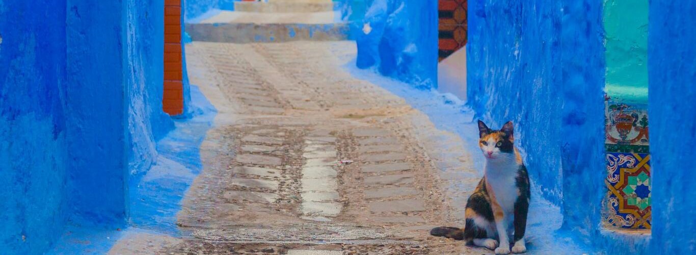 vaccinazioni Maroccco