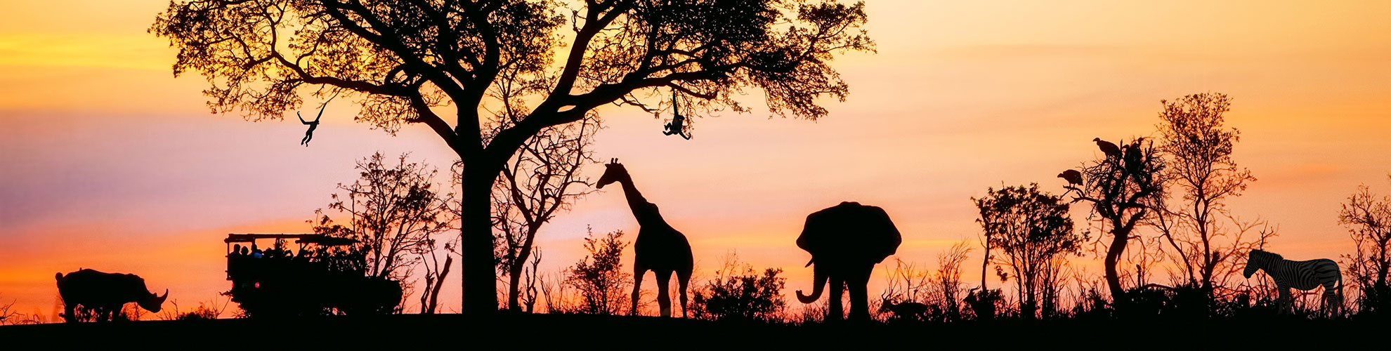 assicurazione sanitaria Sud Africa