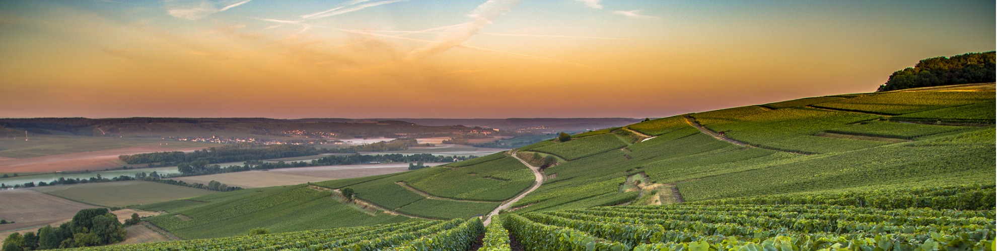 Assicurazione sanitaria Francia
