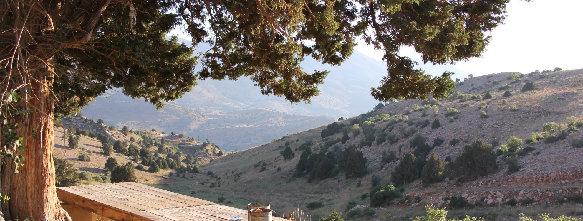 Assicurazione sanitaria Libano