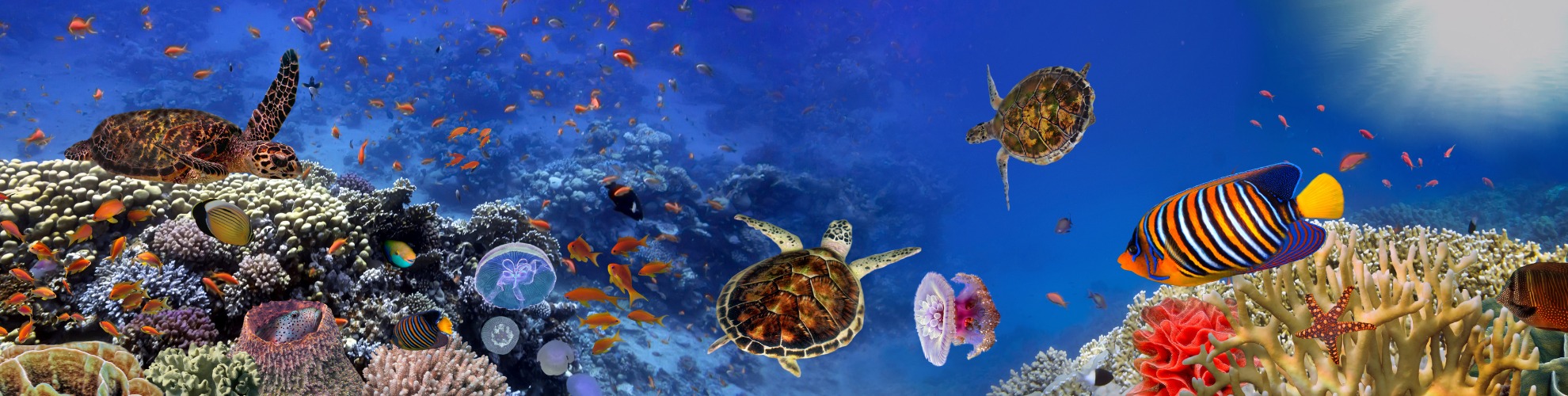 Vacanze in Polinesia