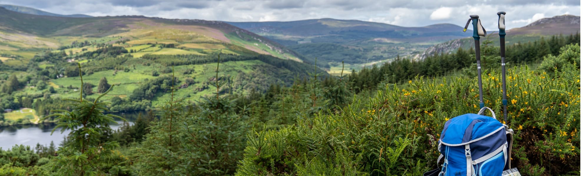 Assicurazione sanitaria Irlanda