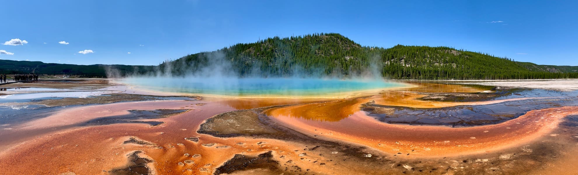 Yellowstone Parchi Nazionali USA