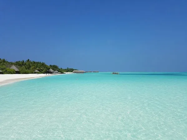 Laccadive