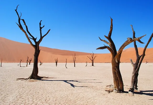 Namibia