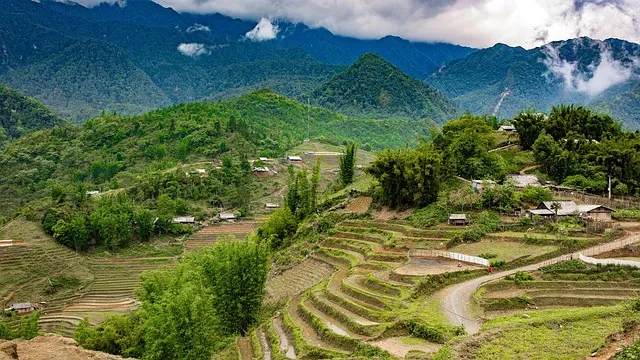 Sapa