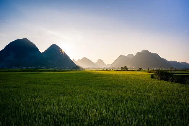 Sapa