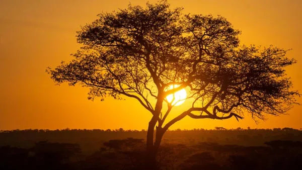 Tanzania