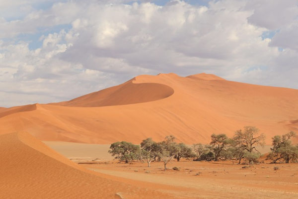 Viaggio in Namibia: safari, deserto e avventura nel cuore dell’Africa australe